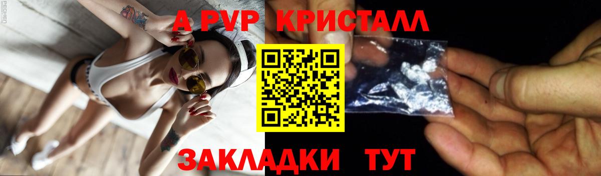A PVP СК КРИС Сосновоборск