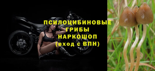 ешки Алексеевка