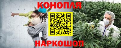 крисы Можайск